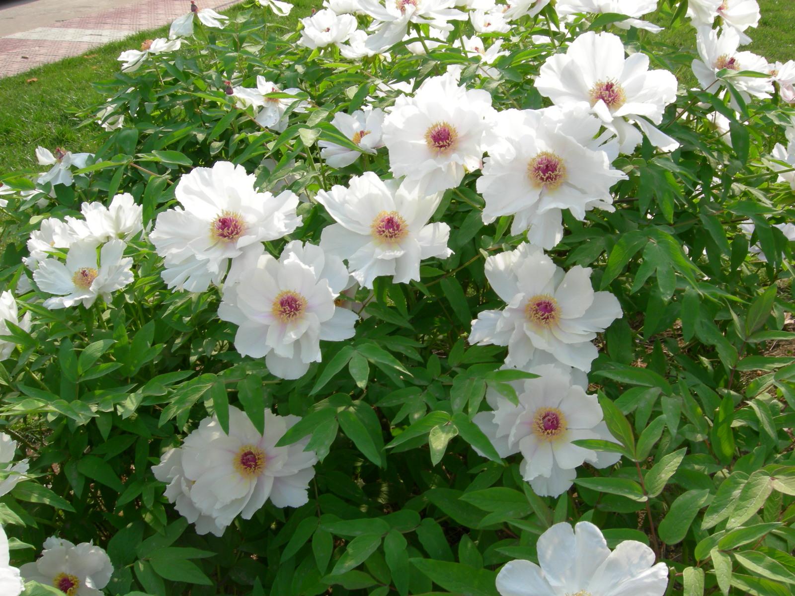 按此在新視窗瀏覽圖片