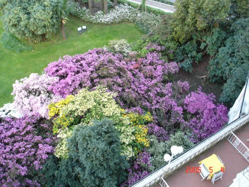 按此在新視窗瀏覽圖片