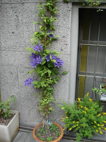 按此在新視窗瀏覽圖片