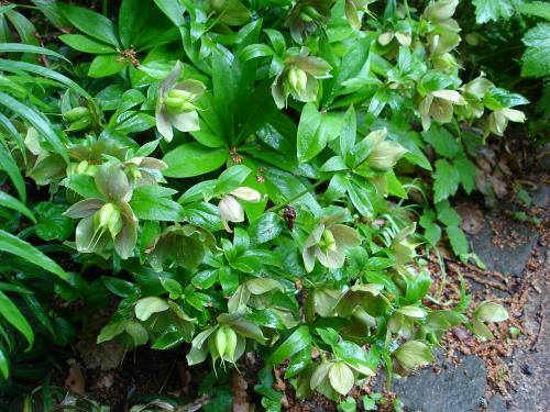 按此在新視窗瀏覽圖片