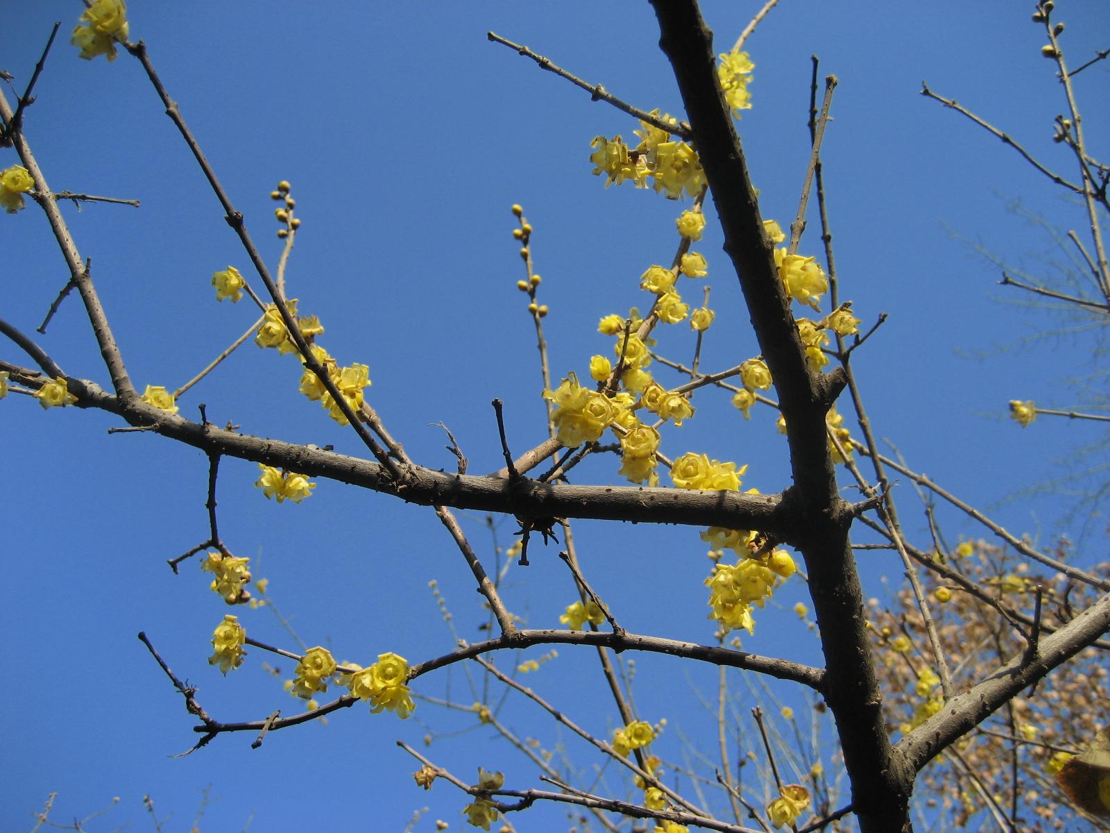 按此在新視窗瀏覽圖片