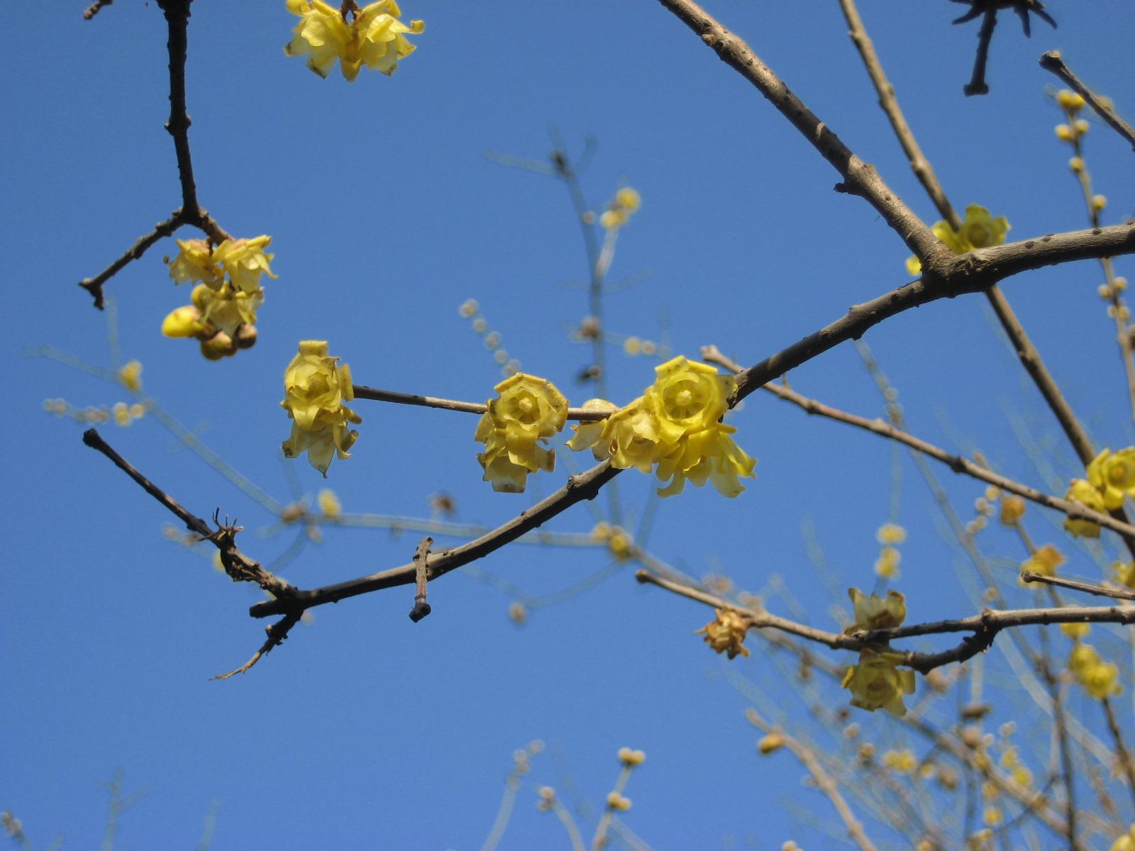 按此在新視窗瀏覽圖片