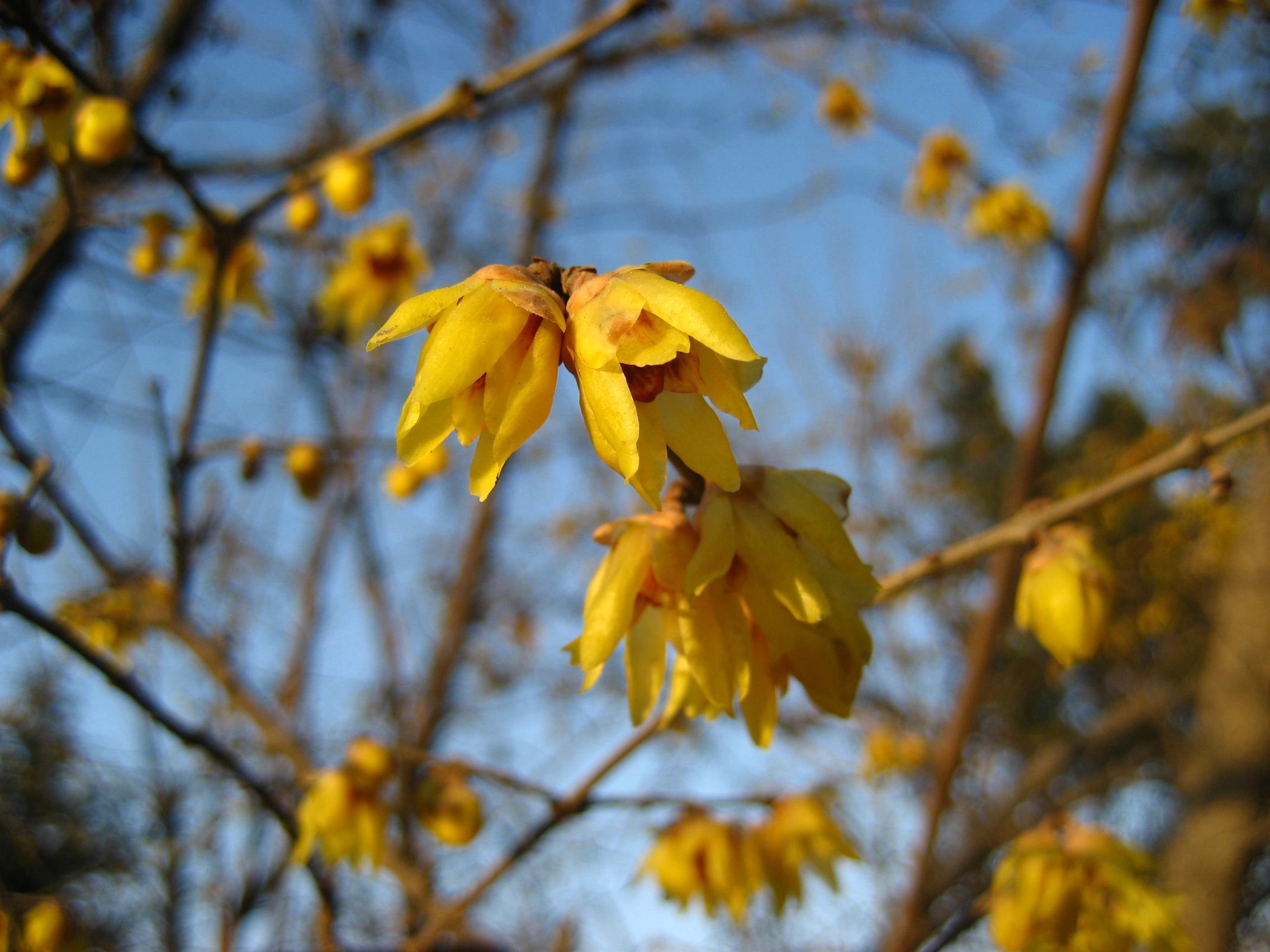 按此在新視窗瀏覽圖片