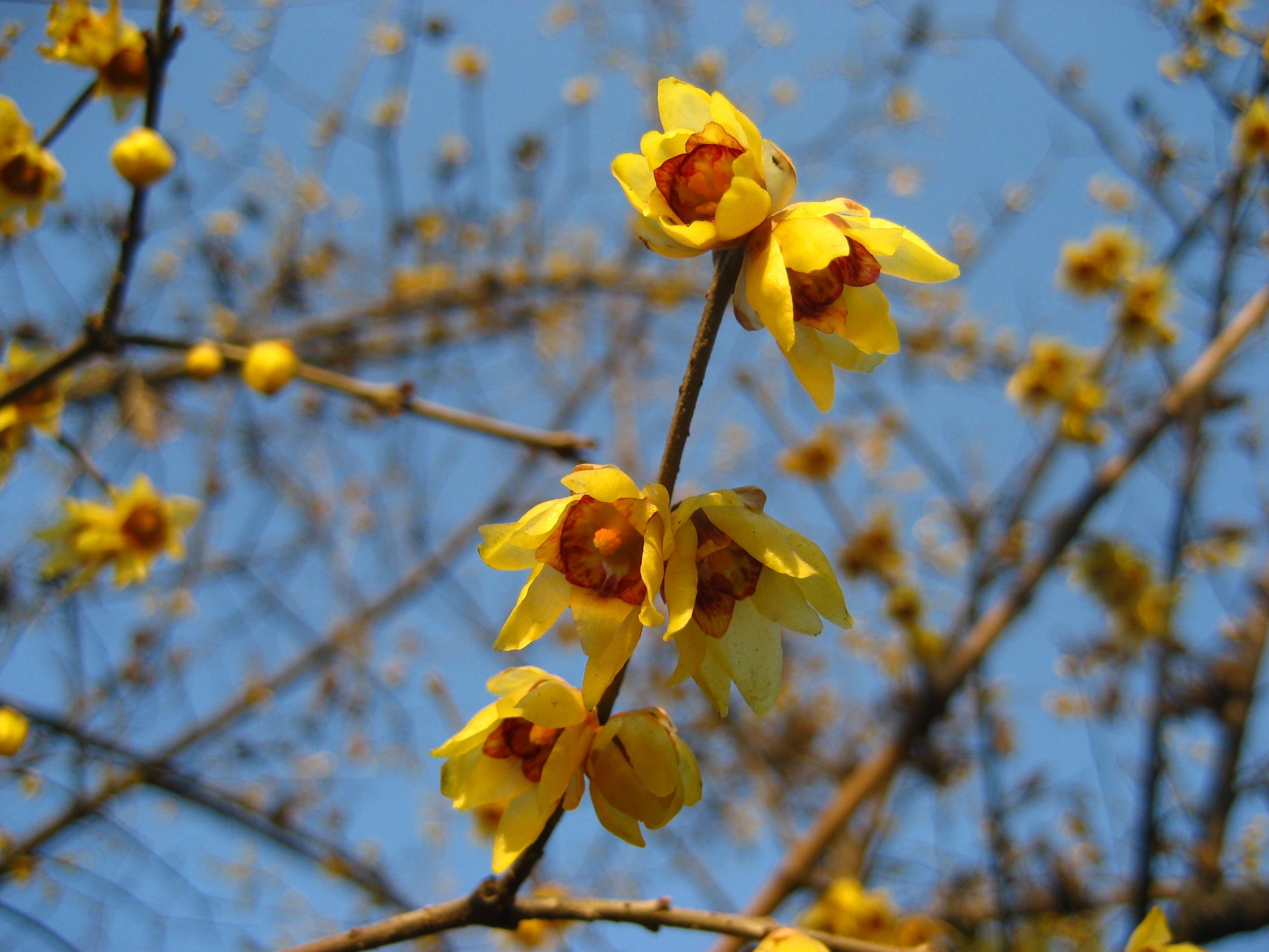 按此在新視窗瀏覽圖片