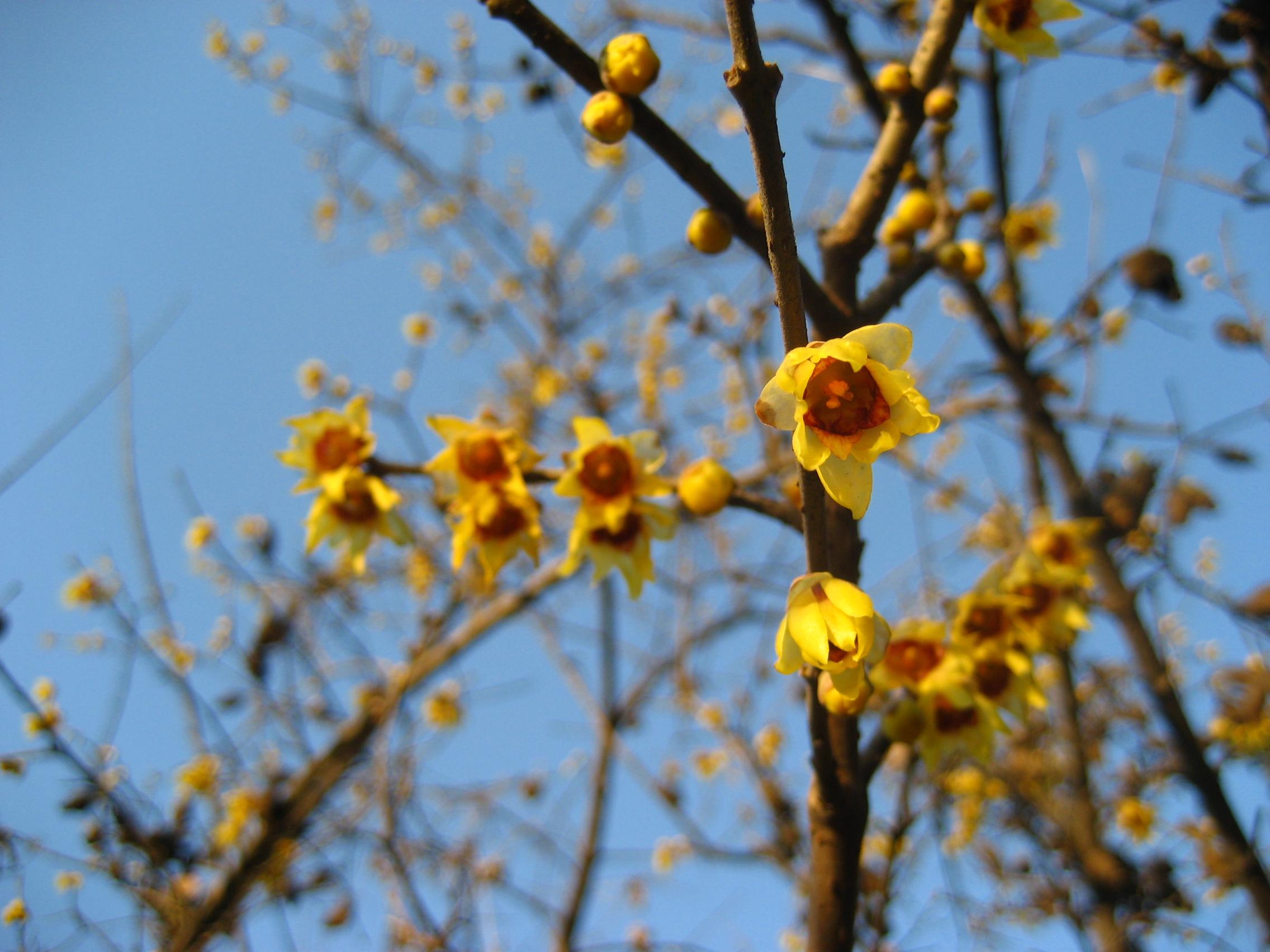 按此在新視窗瀏覽圖片