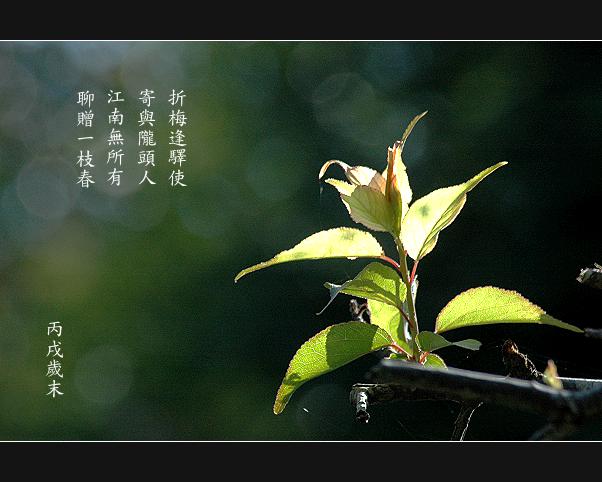 按此在新視窗瀏覽圖片