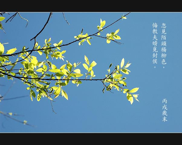 按此在新視窗瀏覽圖片