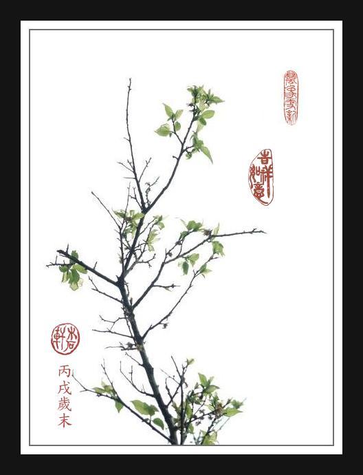 按此在新視窗瀏覽圖片