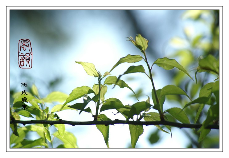 按此在新視窗瀏覽圖片