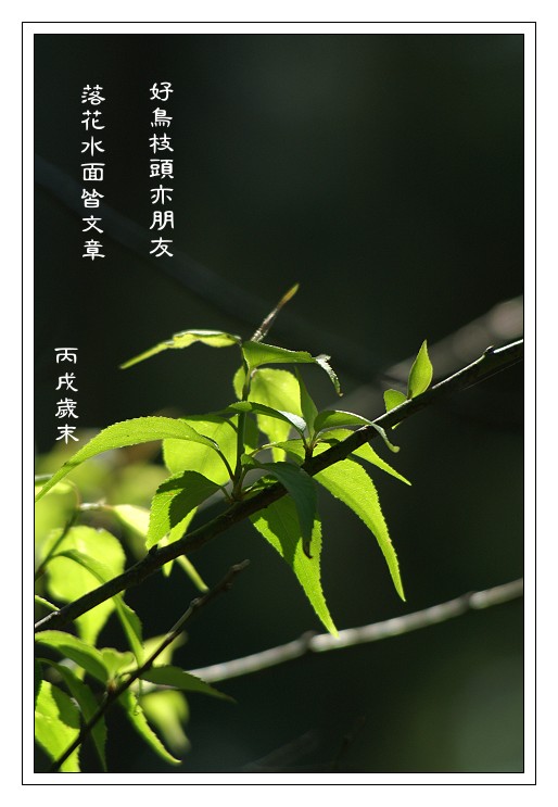 按此在新視窗瀏覽圖片