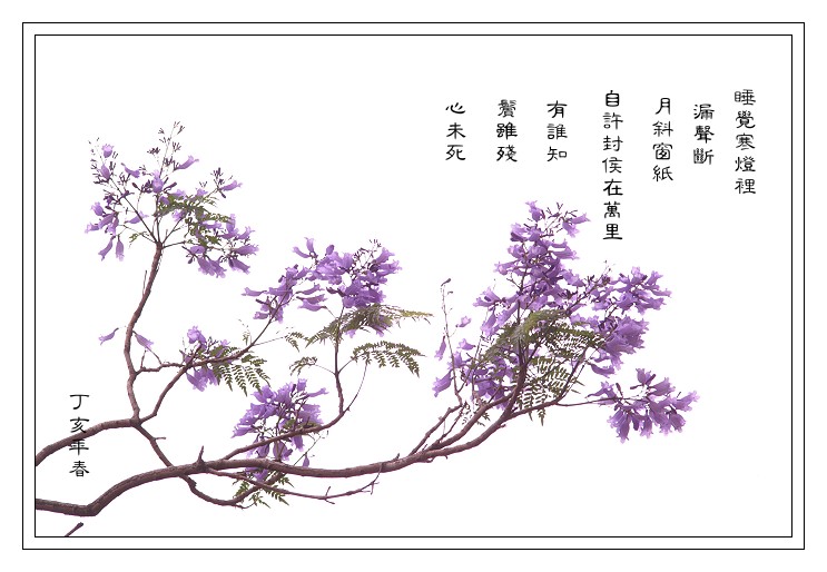 按此在新視窗瀏覽圖片