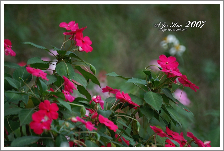 按此在新視窗瀏覽圖片