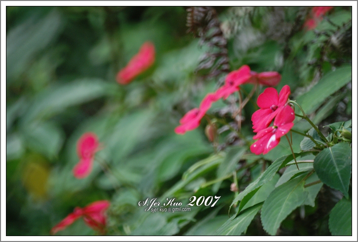 按此在新視窗瀏覽圖片