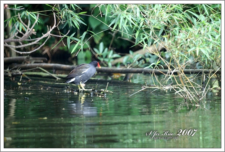 按此在新視窗瀏覽圖片