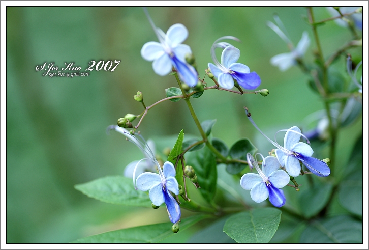 按此在新視窗瀏覽圖片