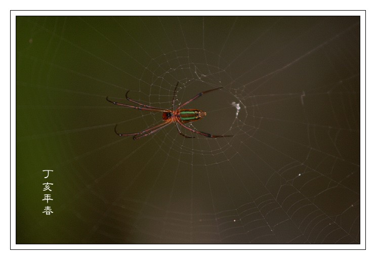 按此在新視窗瀏覽圖片