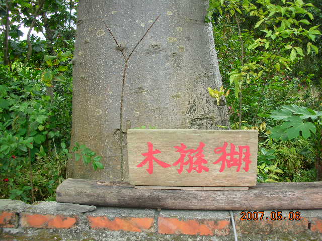 按此在新視窗瀏覽圖片