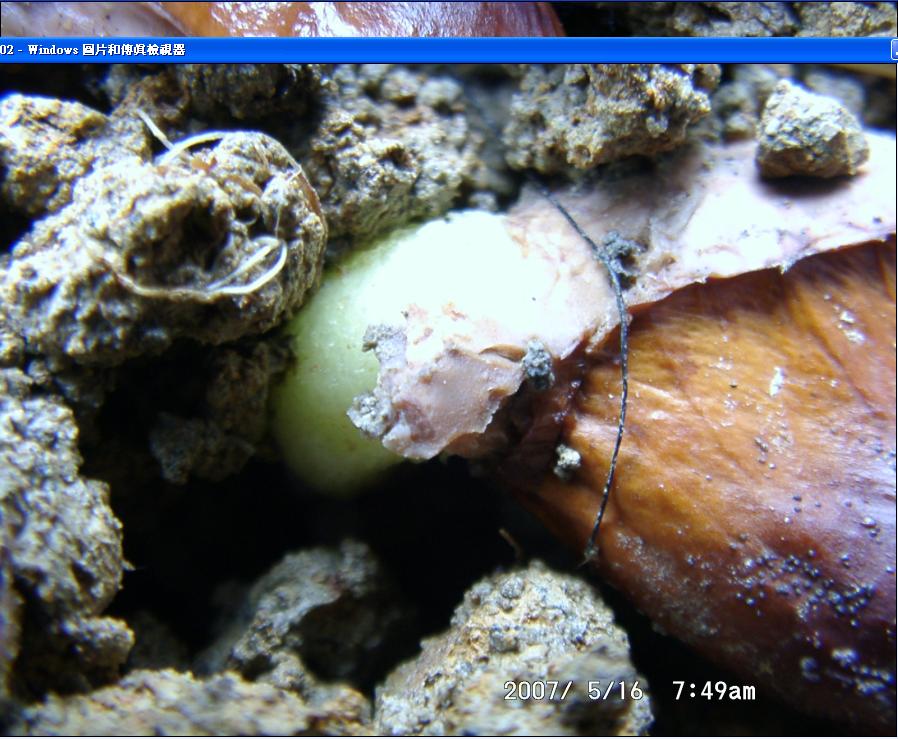 «ö¦¹¦b·sµøµ¡ÂsÄý¹Ï¤ù