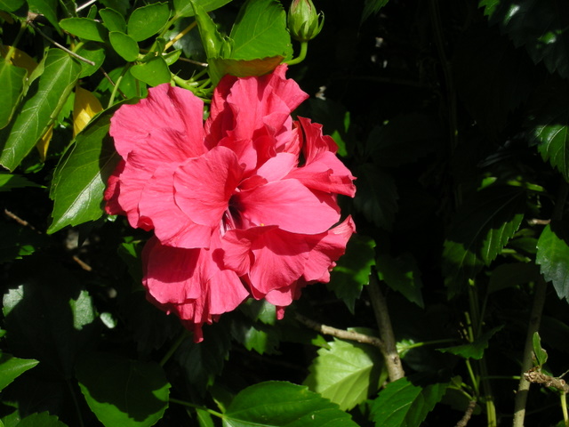 按此在新視窗瀏覽圖片