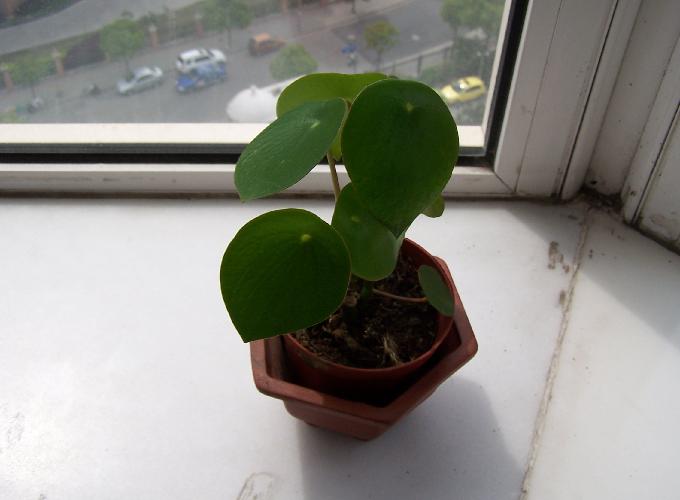 «ö¦¹¦b·sµøµ¡ÂsÄý¹Ï¤ù