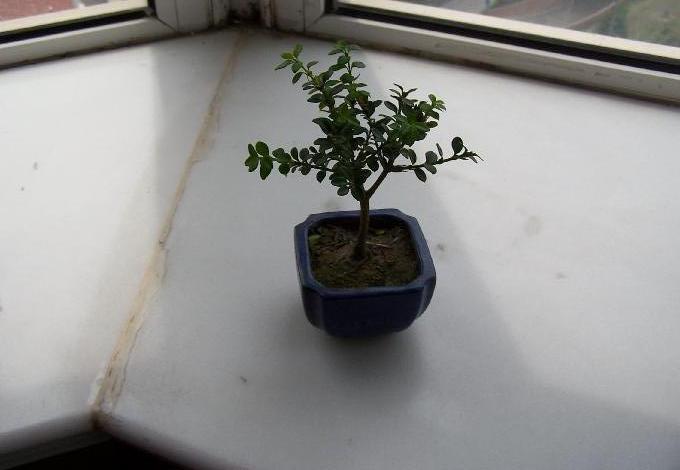 «ö¦¹¦b·sµøµ¡ÂsÄý¹Ï¤ù