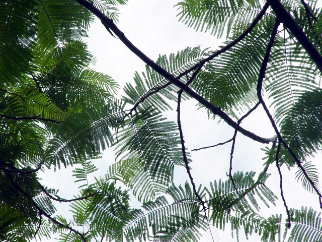 按此在新視窗瀏覽圖片