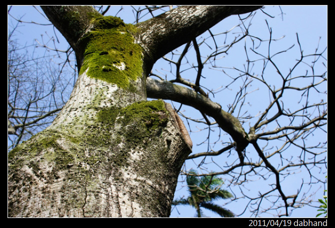 按此在新視窗瀏覽圖片