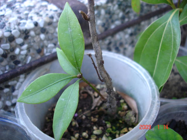 «ö¦¹¦b·sµøµ¡ÂsÄý¹Ï¤ù