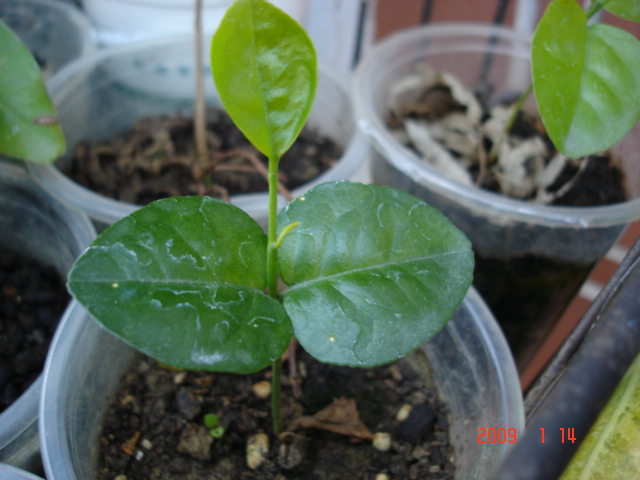 «ö¦¹¦b·sµøµ¡ÂsÄý¹Ï¤ù