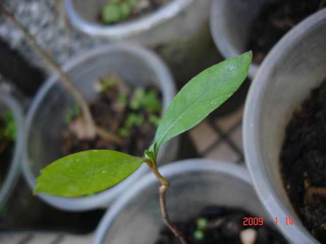 «ö¦¹¦b·sµøµ¡ÂsÄý¹Ï¤ù