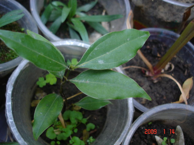 «ö¦¹¦b·sµøµ¡ÂsÄý¹Ï¤ù