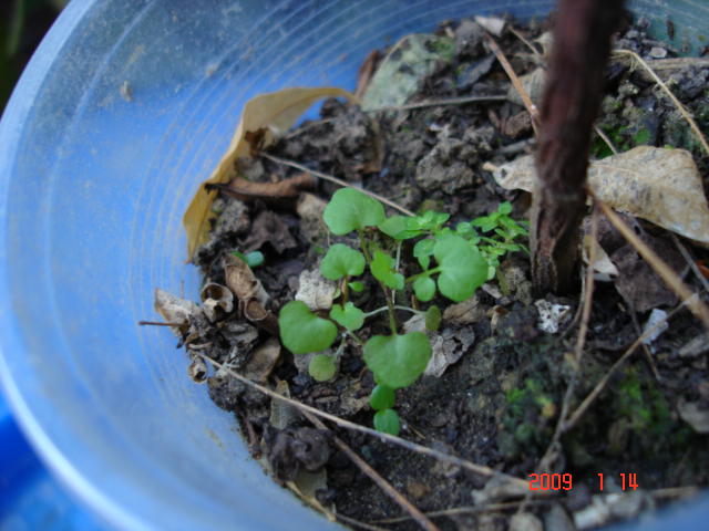 «ö¦¹¦b·sµøµ¡ÂsÄý¹Ï¤ù