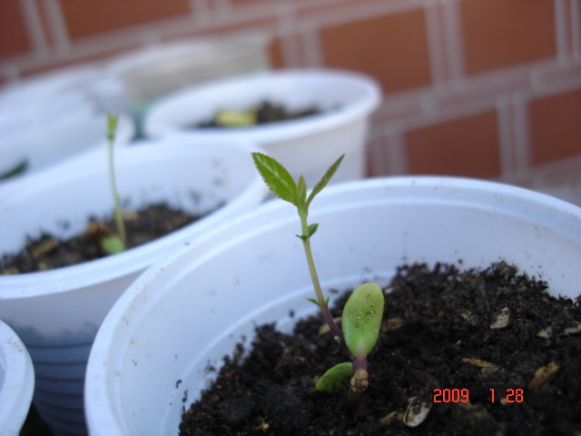 «ö¦¹¦b·sµøµ¡ÂsÄý¹Ï¤ù