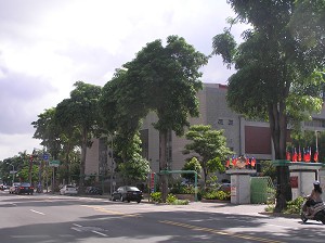 按此在新視窗瀏覽圖片