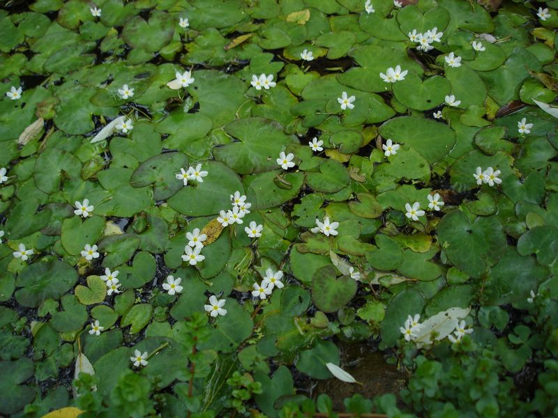 «ö¦¹¦b·sµøµ¡ÂsÄý¹Ï¤ù