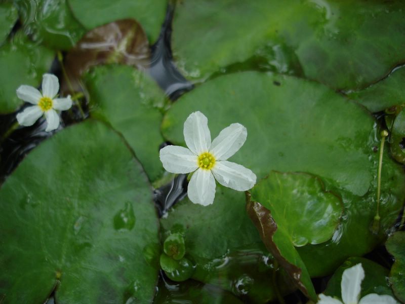 «ö¦¹¦b·sµøµ¡ÂsÄý¹Ï¤ù