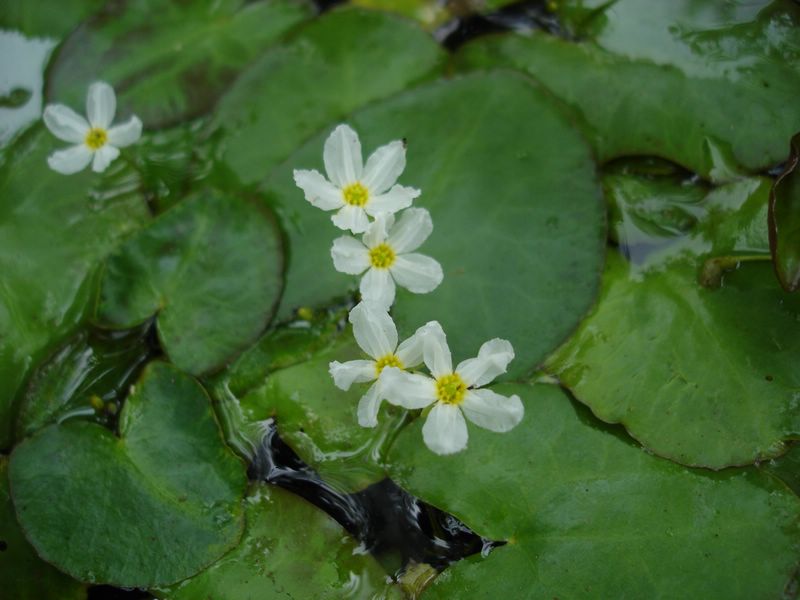 «ö¦¹¦b·sµøµ¡ÂsÄý¹Ï¤ù