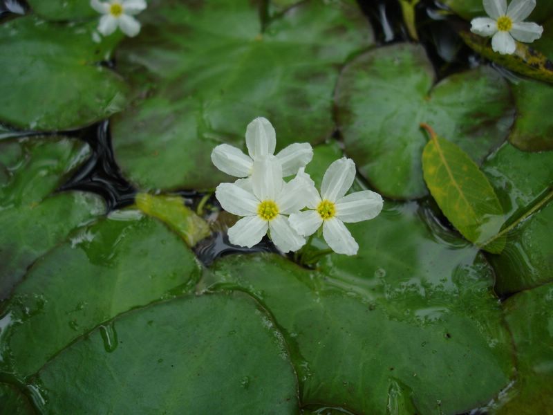 «ö¦¹¦b·sµøµ¡ÂsÄý¹Ï¤ù