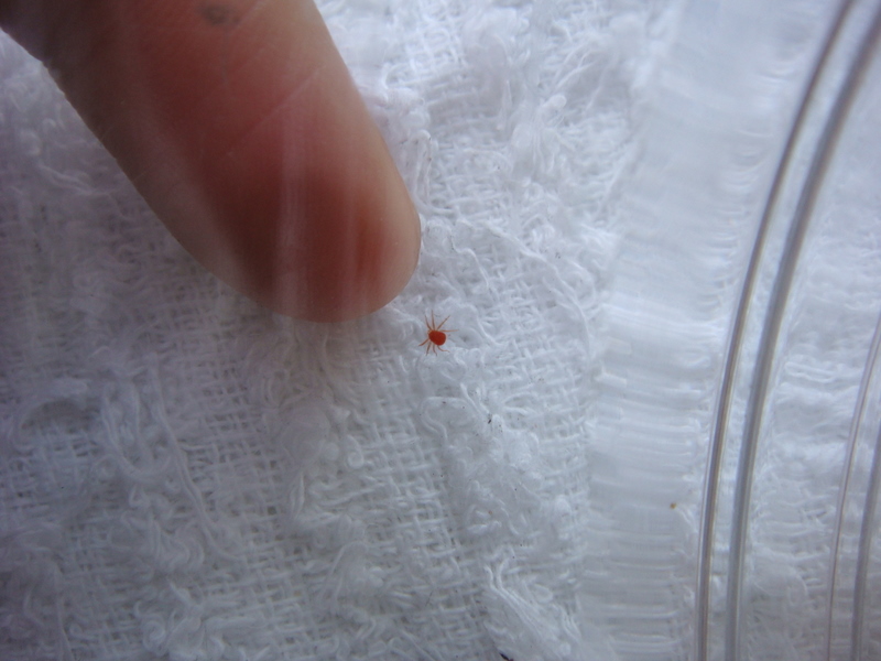 «ö¦¹¦b·sµøµ¡ÂsÄý¹Ï¤ù