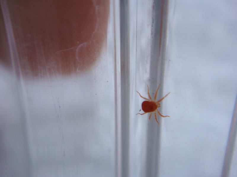 «ö¦¹¦b·sµøµ¡ÂsÄý¹Ï¤ù