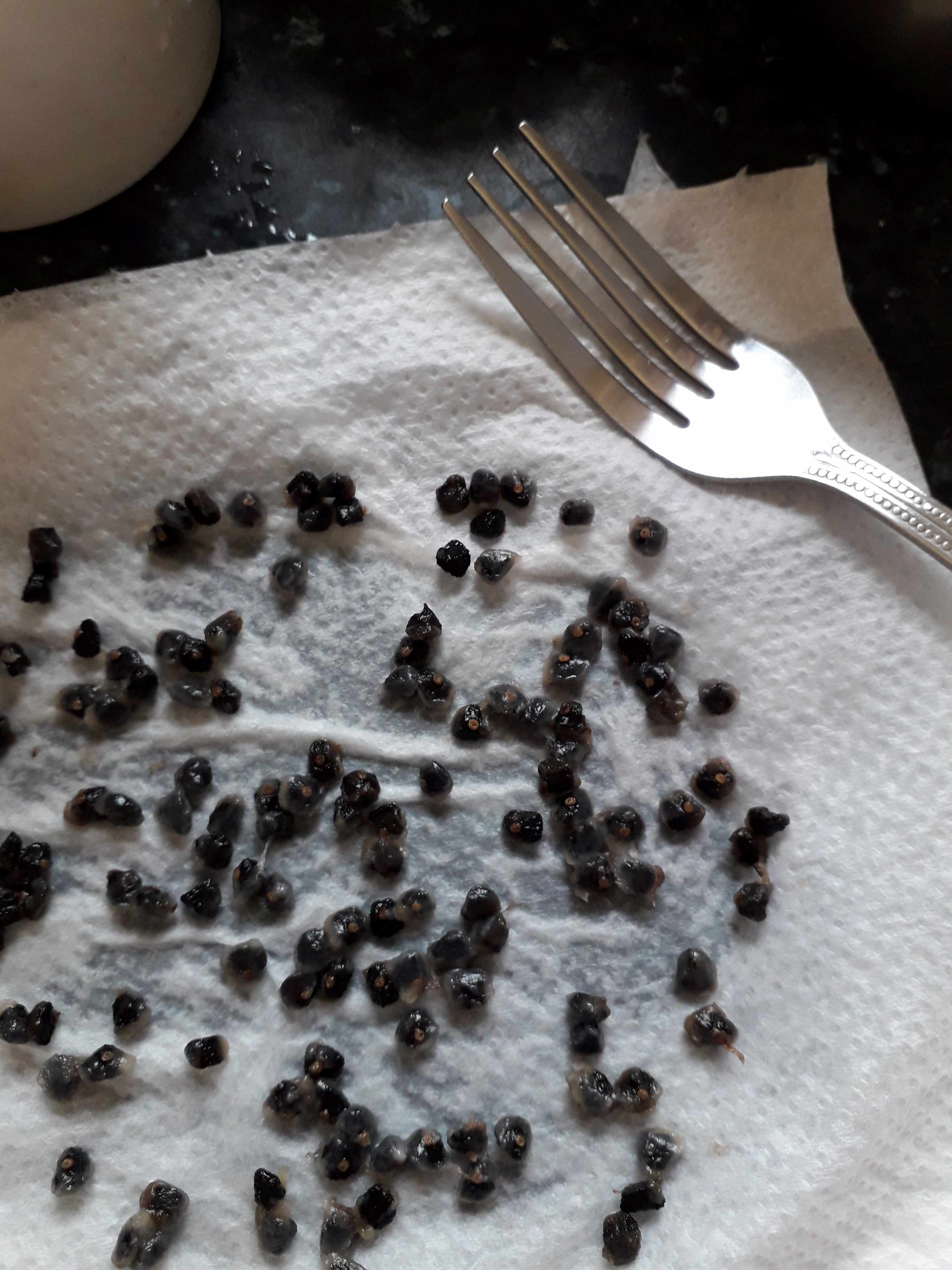 «ö¦¹¦b·sµøµ¡ÂsÄý¹Ï¤ù