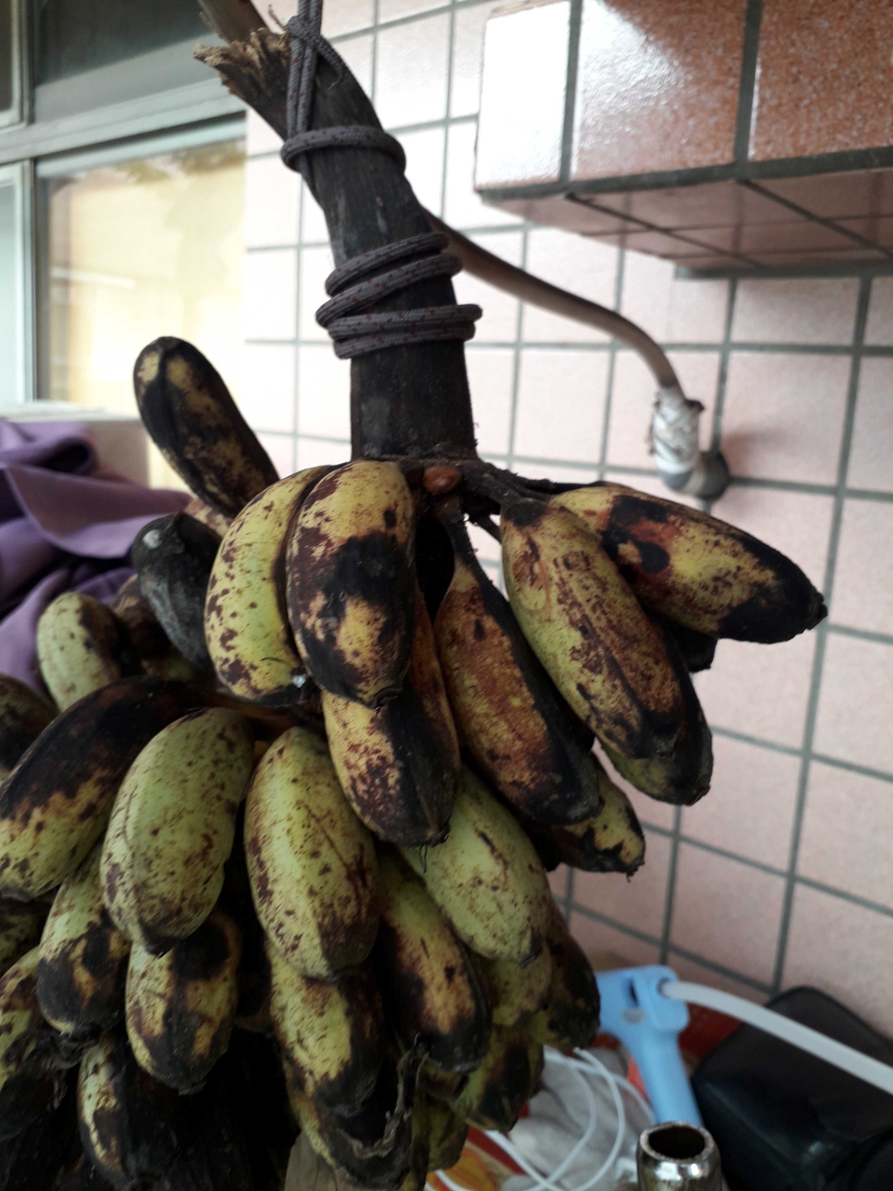 «ö¦¹¦b·sµøµ¡ÂsÄý¹Ï¤ù