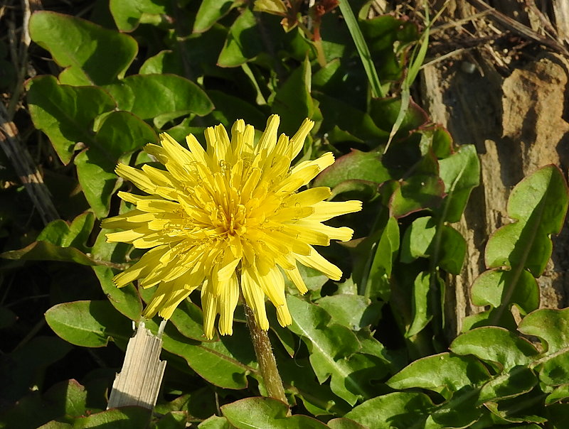 «ö¦¹¦b·sµøµ¡ÂsÄý¹Ï¤ù