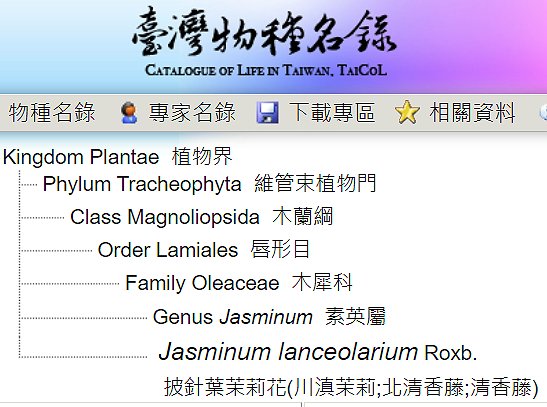 按此在新視窗瀏覽圖片