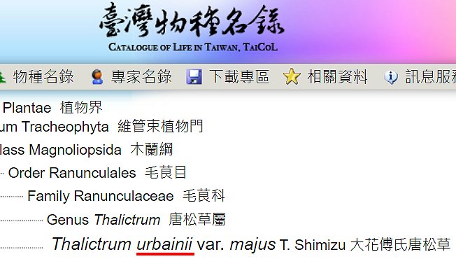 «ö¦¹¦b·sµøµ¡ÂsÄý¹Ï¤ù