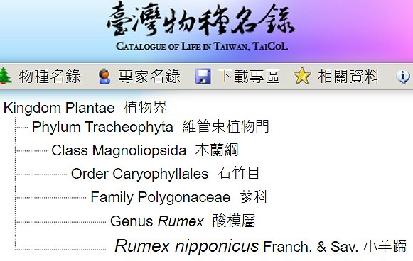 «ö¦¹¦b·sµøµ¡ÂsÄý¹Ï¤ù