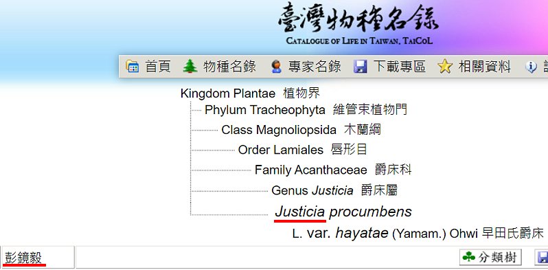 «ö¦¹¦b·sµøµ¡ÂsÄý¹Ï¤ù