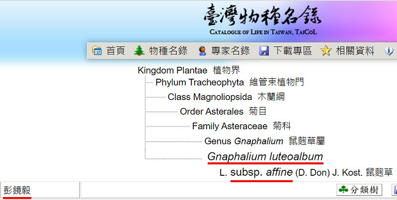 «ö¦¹¦b·sµøµ¡ÂsÄý¹Ï¤ù