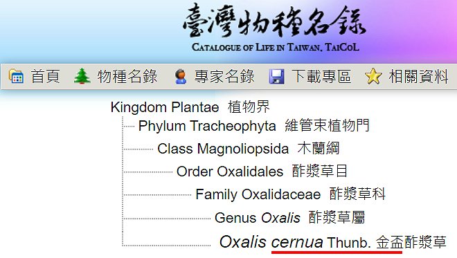 «ö¦¹¦b·sµøµ¡ÂsÄý¹Ï¤ù