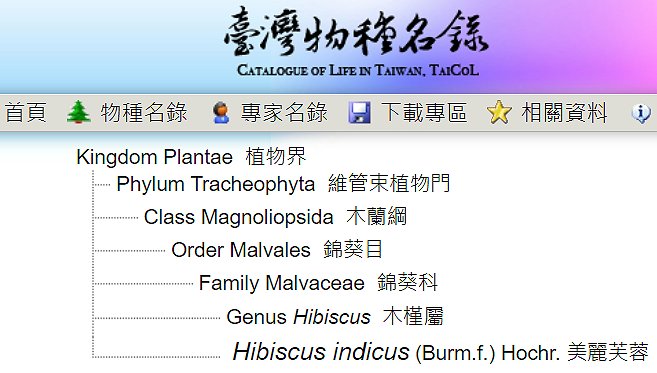 «ö¦¹¦b·sµøµ¡ÂsÄý¹Ï¤ù